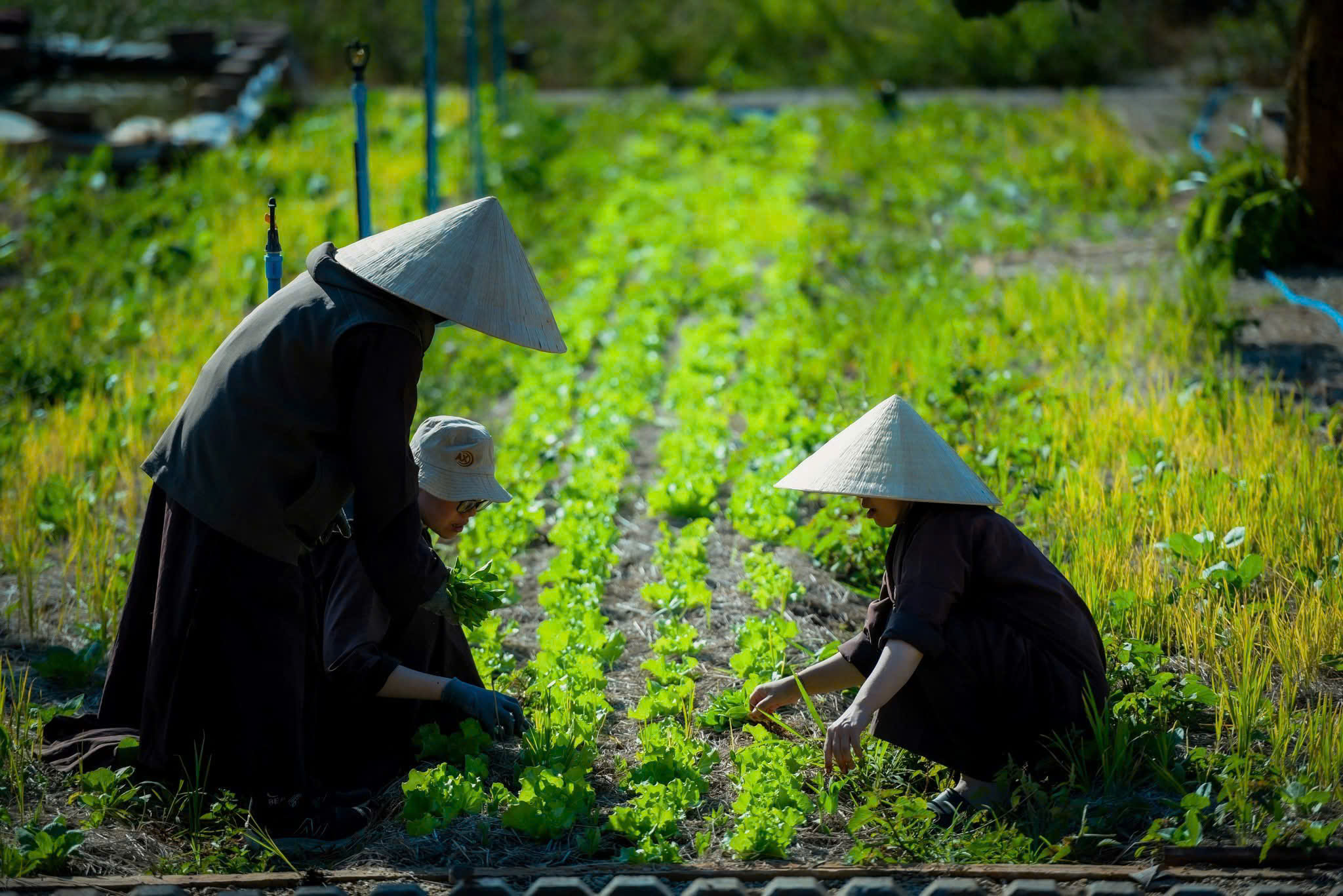 Làm việc